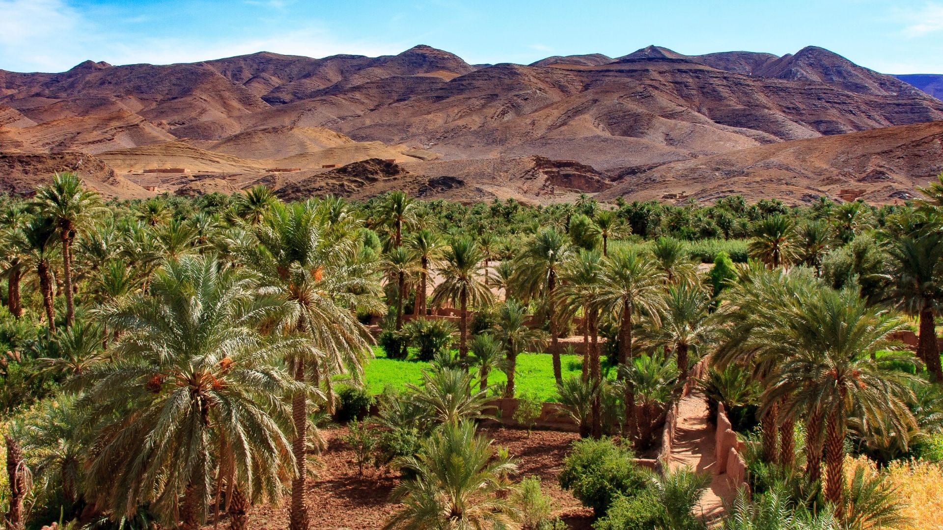 Ouarzazate – Anti Atlas – Valle del Draa – Nkob – Alnif – Merzouga (Desierto) (4/4)
